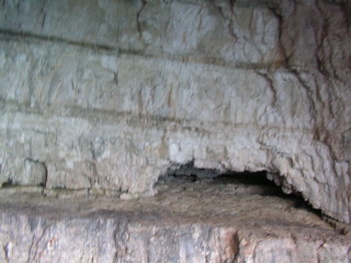 pict0325.jpg