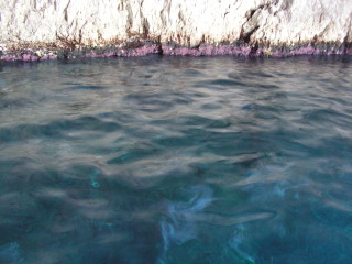 pict0329.jpg
