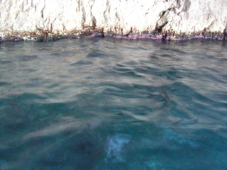 pict0330.jpg
