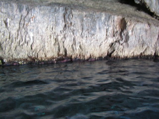 pict0332.jpg