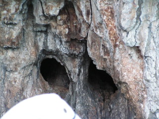 pict0336.jpg