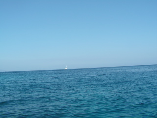 pict0337.jpg