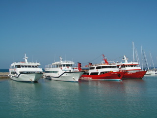 pict0361.jpg