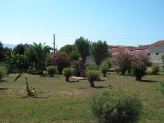 pict0389.jpg
